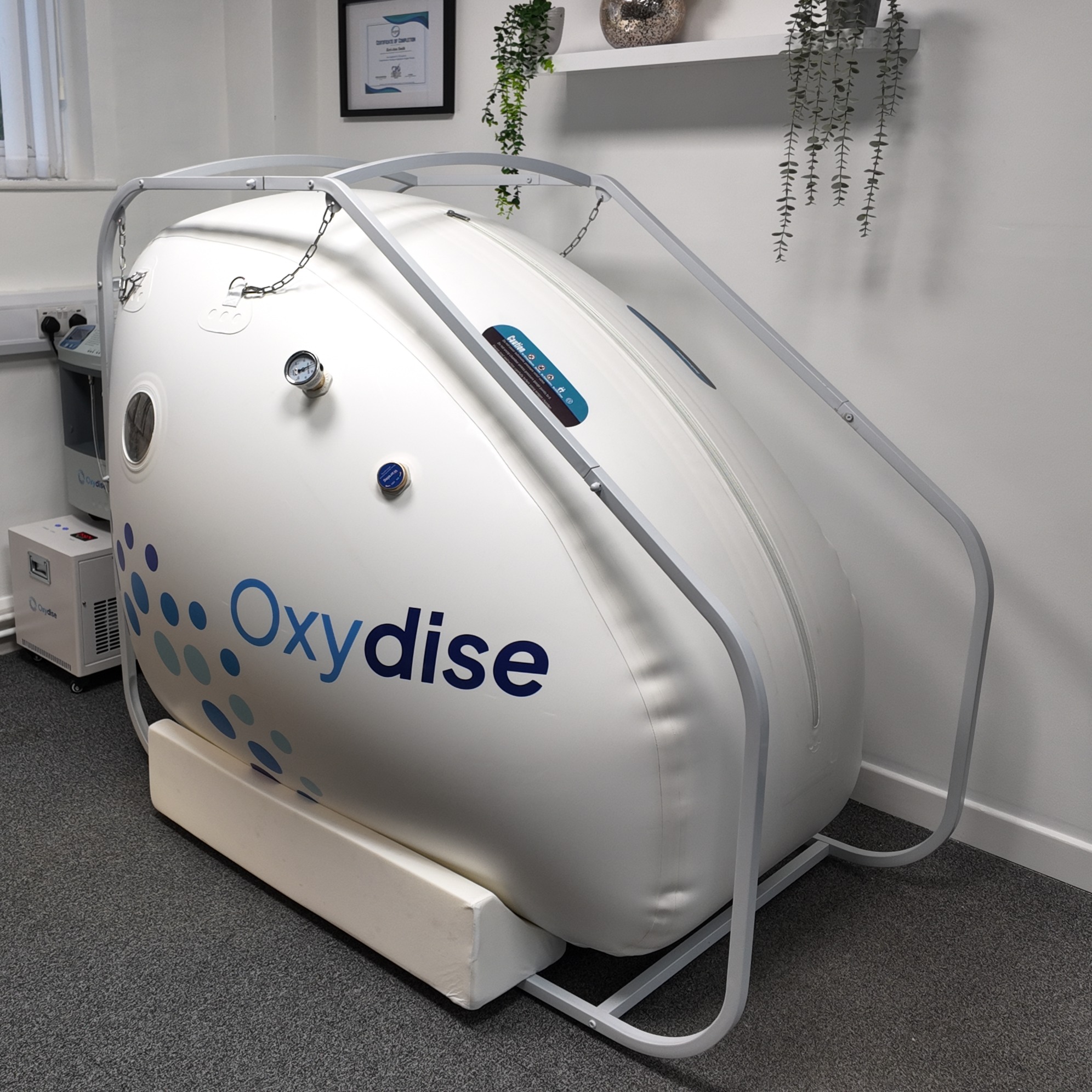 Oxy-Regen’s white soft-sided Oxydise chamber in its private room